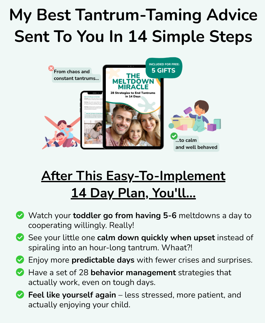 The Meltdown Miracle - 28 Strategies to End Tantrums in 14 Days