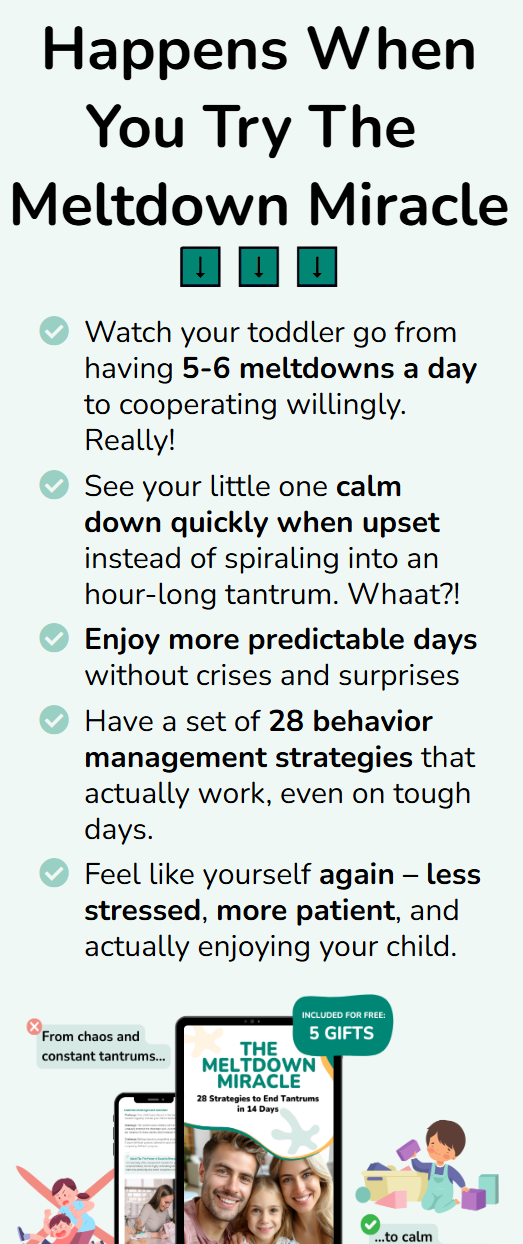 The Meltdown Miracle - 28 Strategies to End Tantrums in 14 Days
