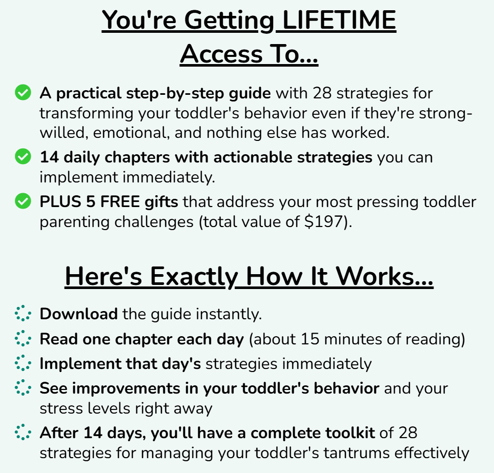 The Meltdown Miracle - 28 Strategies to End Tantrums in 14 Days