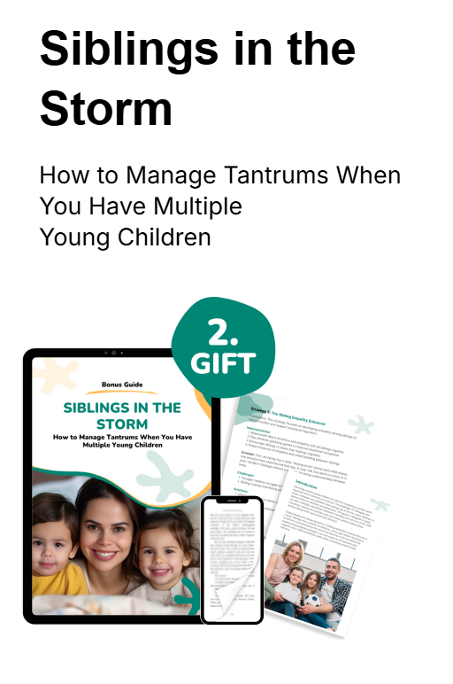 The Meltdown Miracle - 28 Strategies to End Tantrums in 14 Days